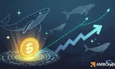 Whales Circle Sonic: ¿Es una ruptura a $ 0.62 a la vuelta de la esquina?